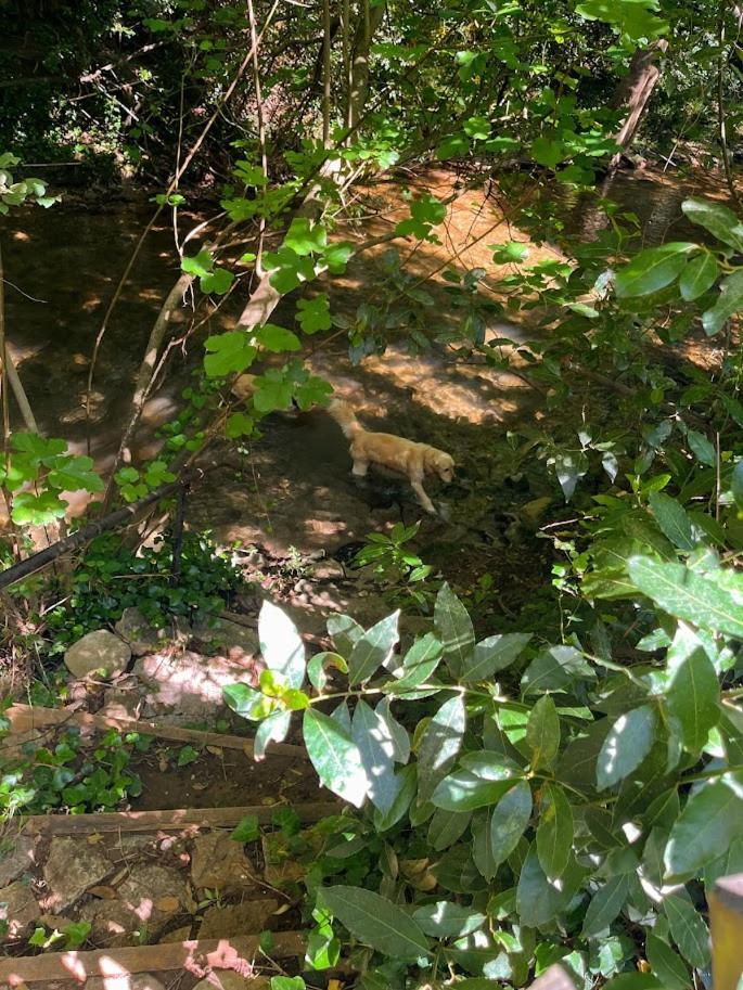 Bastide Du Maoupas Hébergement de vacances Belgentier