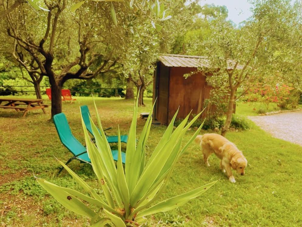 Bastide Du Maoupas Hébergement de vacances Belgentier