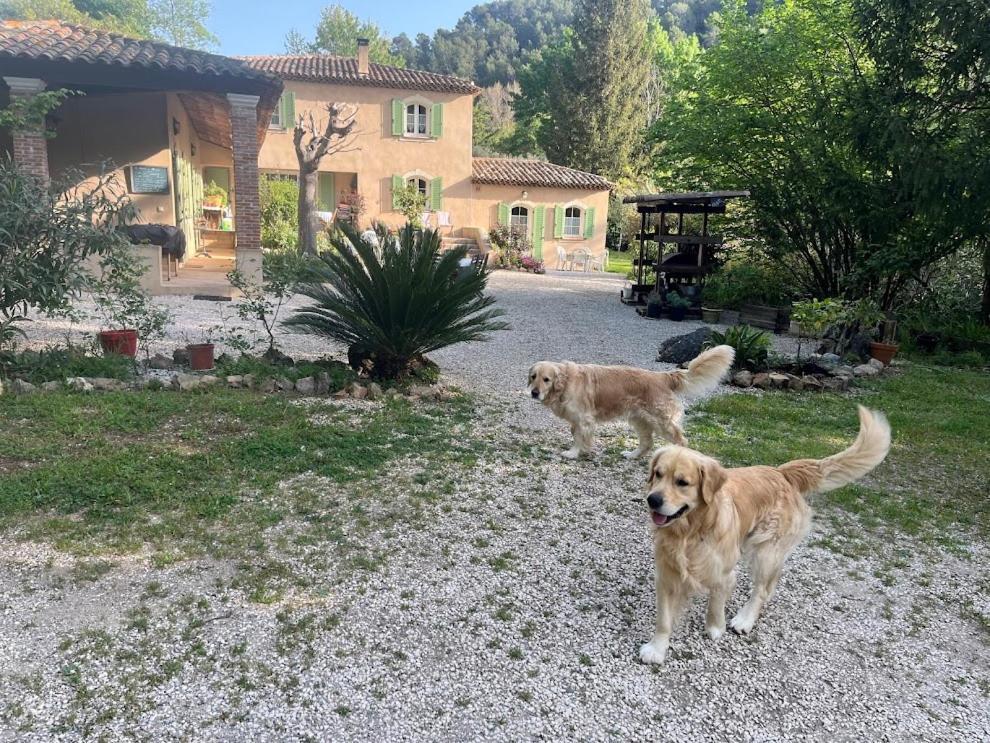 Bastide Du Maoupas Hébergement de vacances Belgentier